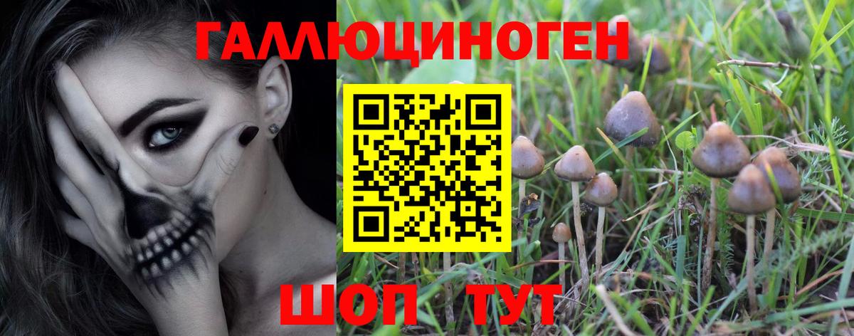 Псилоцибиновые грибы прущие грибы  Галлюциногенные грибы GOLDEN TEACHER  Вход с VPN  Барнаул 